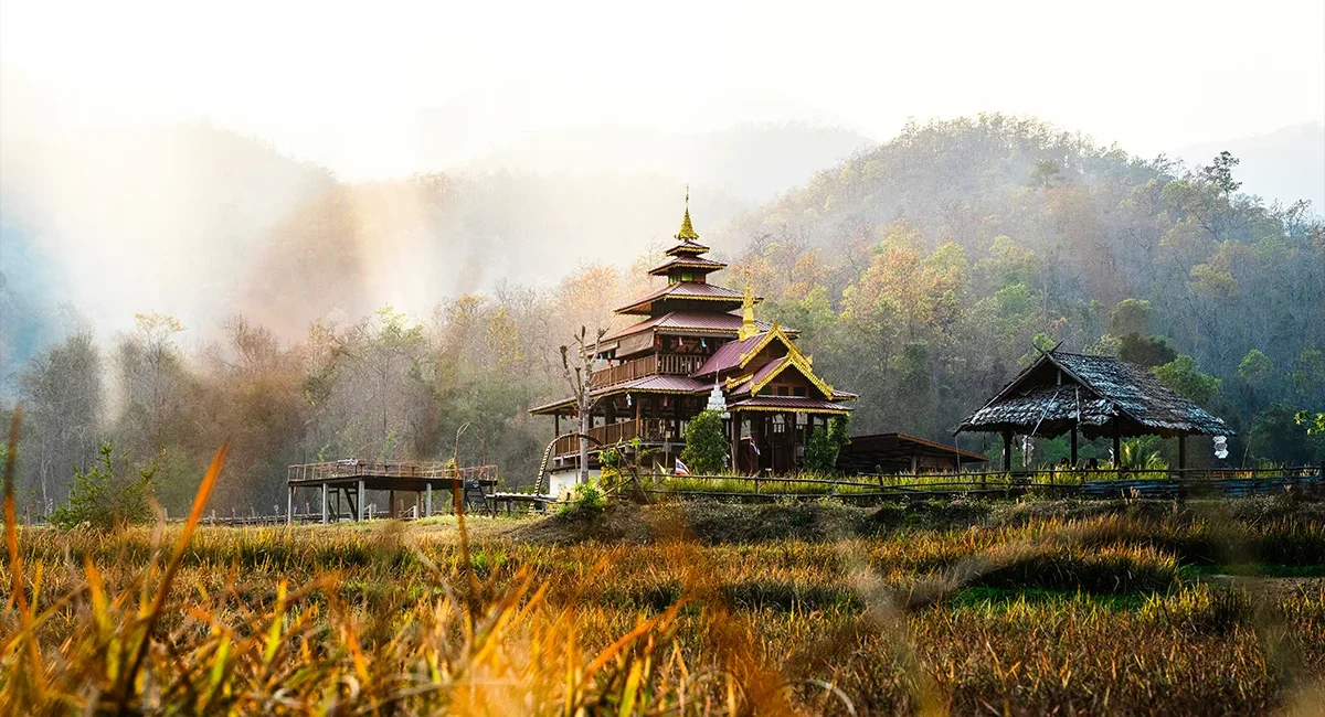 Ein traditionelles thailändisches Tempelgebäude inmitten goldener Gräser und Reisfelder, umgeben von nebligen Hügeln.