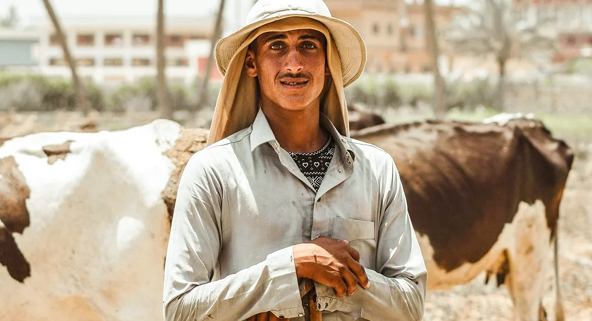 Ein Kuhhirte in Ägypten