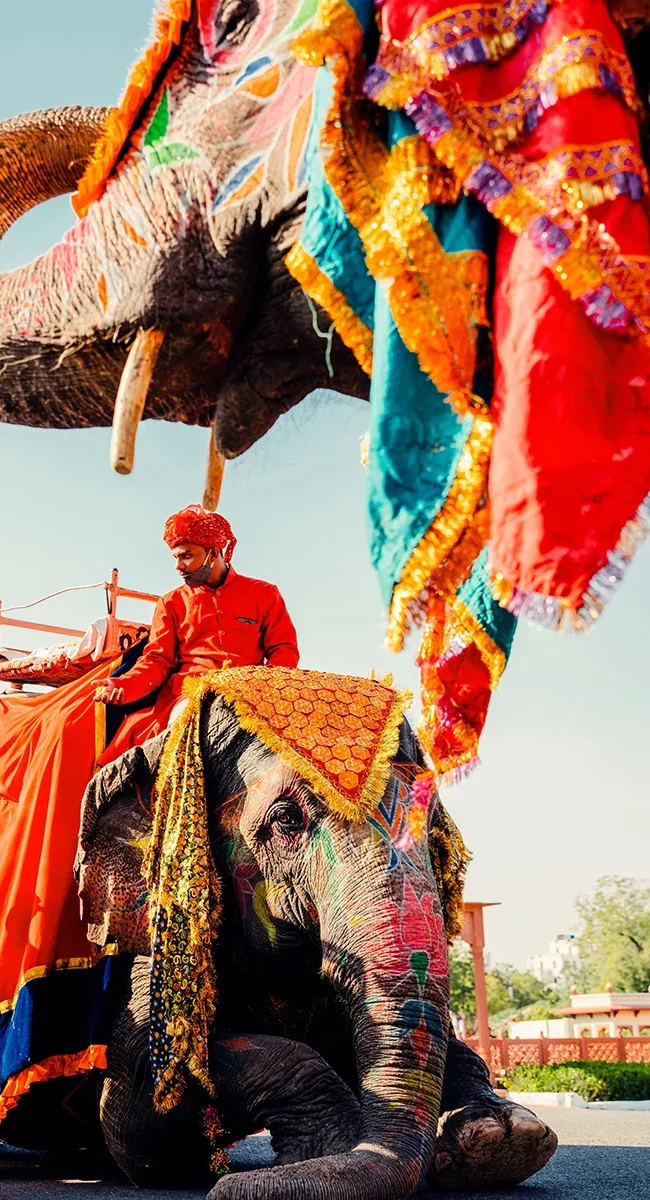 Geschmückte Elefanten mit einem darauf sitzenden Mahout in traditioneller Kleidung während einer Parade, die typisch für das Elefantenfestival in Indien ist.