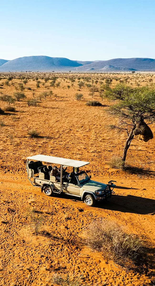 Ein offener Safari-Jeep mit Passagieren fährt durch eine trockene, rote Wüstenlandschaft mit spärlicher Vegetation und Bergen im Hintergrund.