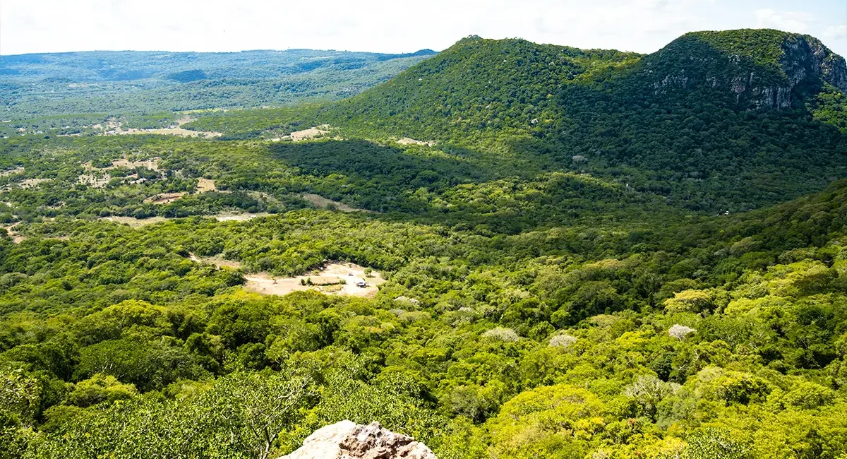 Eine weite, üppig grüne Hügellandschaft mit dichten Wäldern in Paraguay