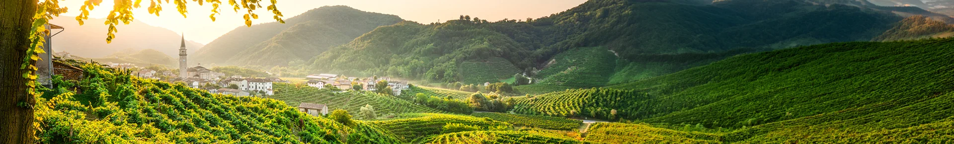 Die Prosecco-Hügel in der italienischen Region Venetien, welche von Weinbergen geprägt sind.