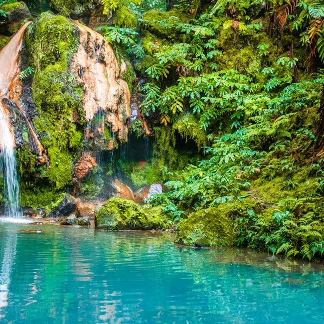 Ein Wasserfall im Naturpark Caldeira Velha auf der Azoreninsel São Miguel fließt zwischen dichter grüner Vegetation in ein Becken.