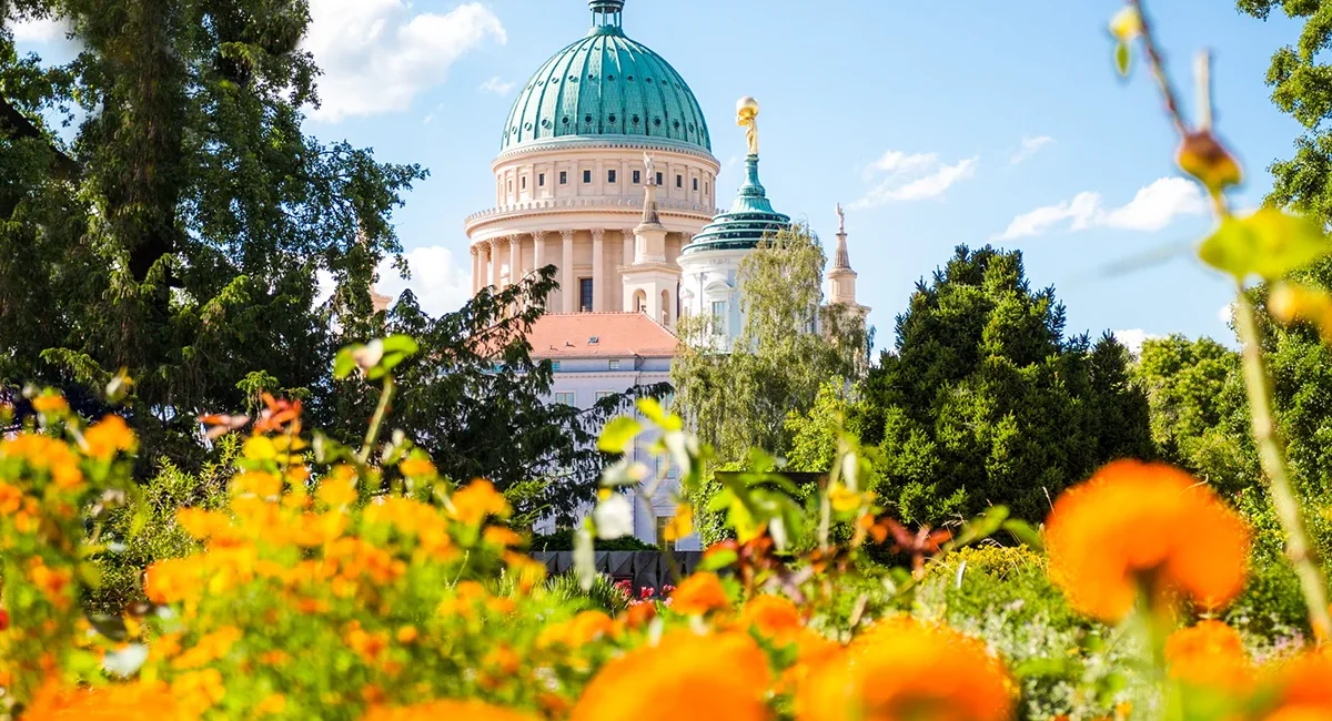 Die markante, hellblaue Kuppel der Potsdamer Nikolaikirche, die hinter einem farbenfrohen Meer aus orangefarbenen Blumen und grünen Bäumen aufragt.
