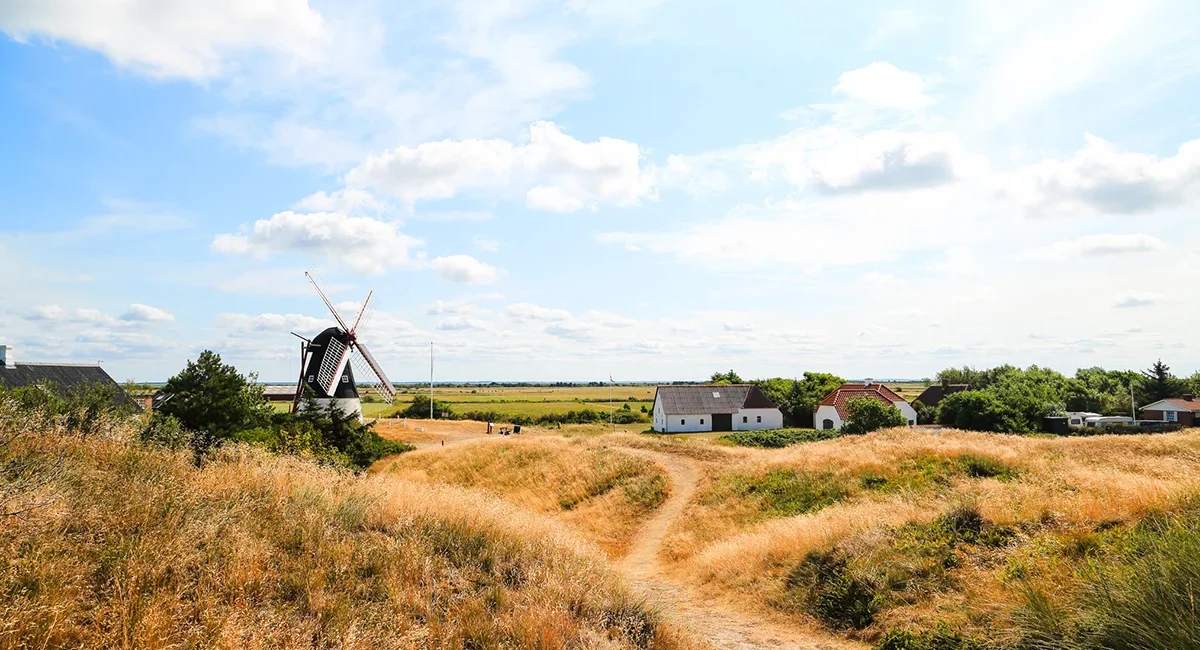 Mehrere Windmühlen stehen in der flachen Landschaft der Insel Mandø in Dänemark. Die Windräder ragen über die weite Marschlandschaft nahe dem Wattenmeer.