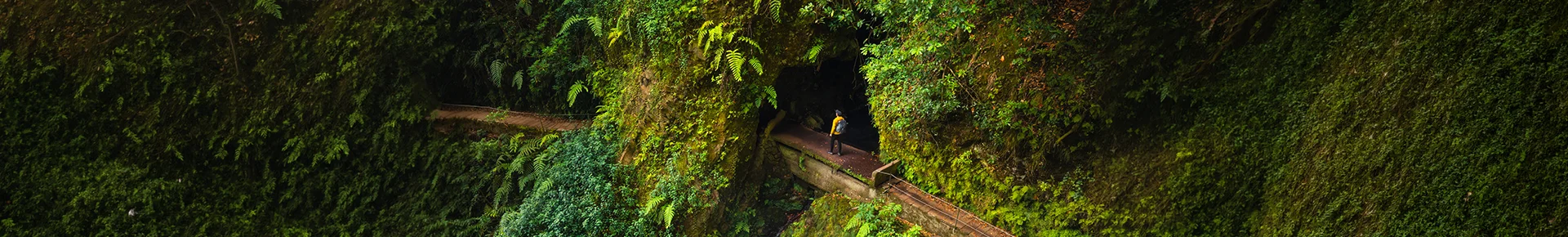 Eine Levada-Wanderung auf Madeira führt entlang eines schmalen Wasserkanals durch dichte grüne Vegetation.
