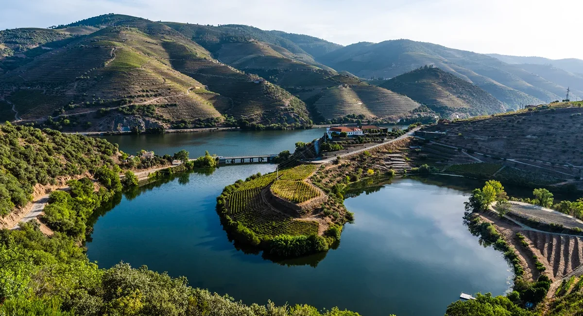 Das Douro-Tal in Portugal mit terrassierten Weinbergen entlang des Flusses Douro. Die Reben ziehen sich über die hügelige Landschaft