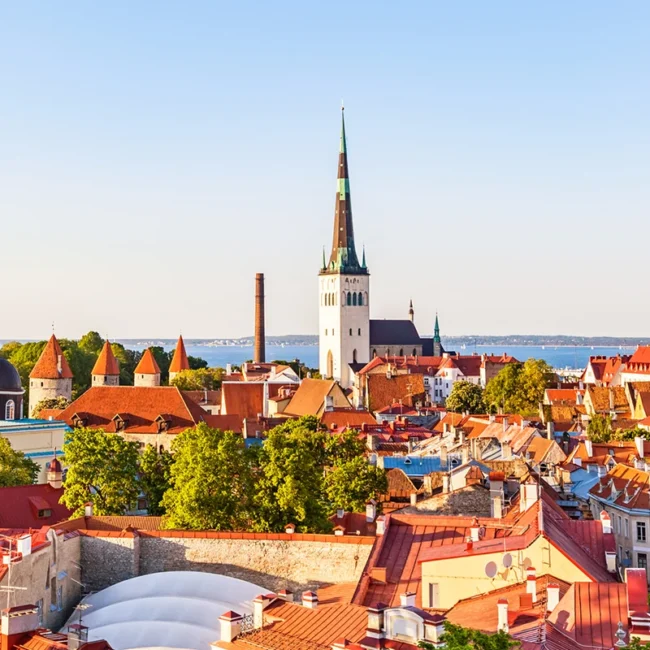 Der hohe, spitze Turm der mittelalterlichen Olaikirche über den charakteristischen roten Ziegeldächern der historischen Altstadt von Tallinn in Estland.