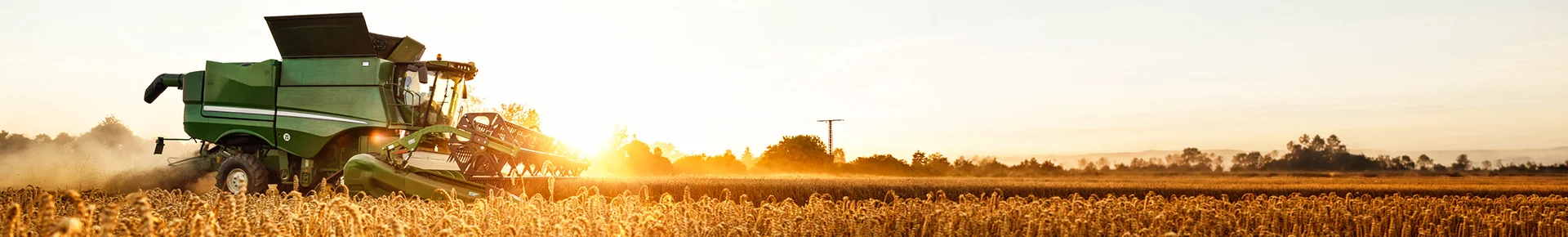Eine Landmaschine mäht ein Getreidefeld ab, in der Abenddämmerung in der Slowakei