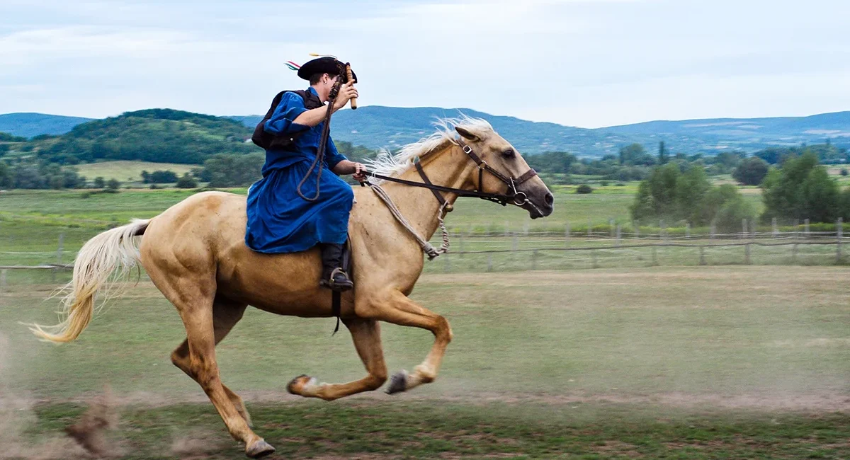 Ein traditioneller blau gekleideter ungarischer Csikós-Hirte, der in der weiten Puszta-Landschaft in vollem Galopp auf einem hellbraunen Pferd reitet.