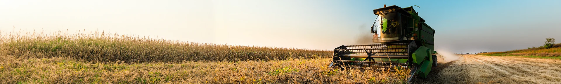 Ein Mähdrescher fährt durch ein weites Getreidefeld in einer Panorama-Landschaft.